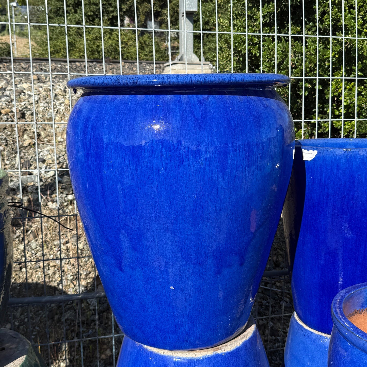 Large Lipped Glossy Blue