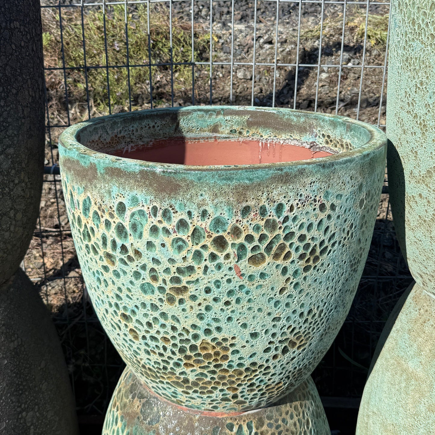 Medium Rough Faded Light Green