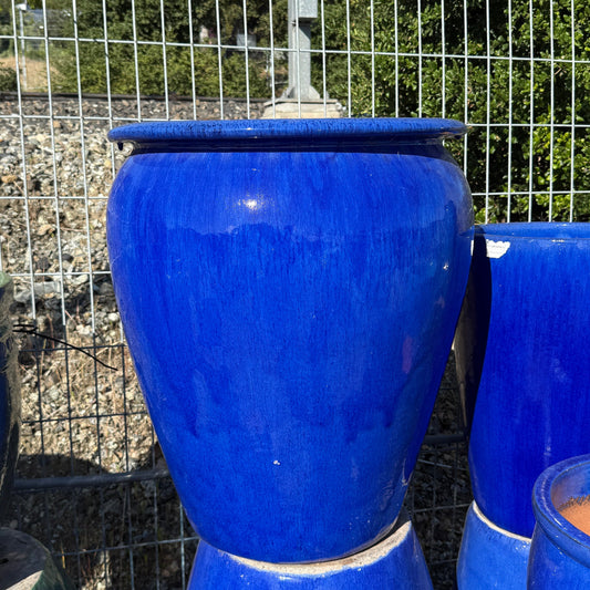 Large Lipped Glossy  Blue