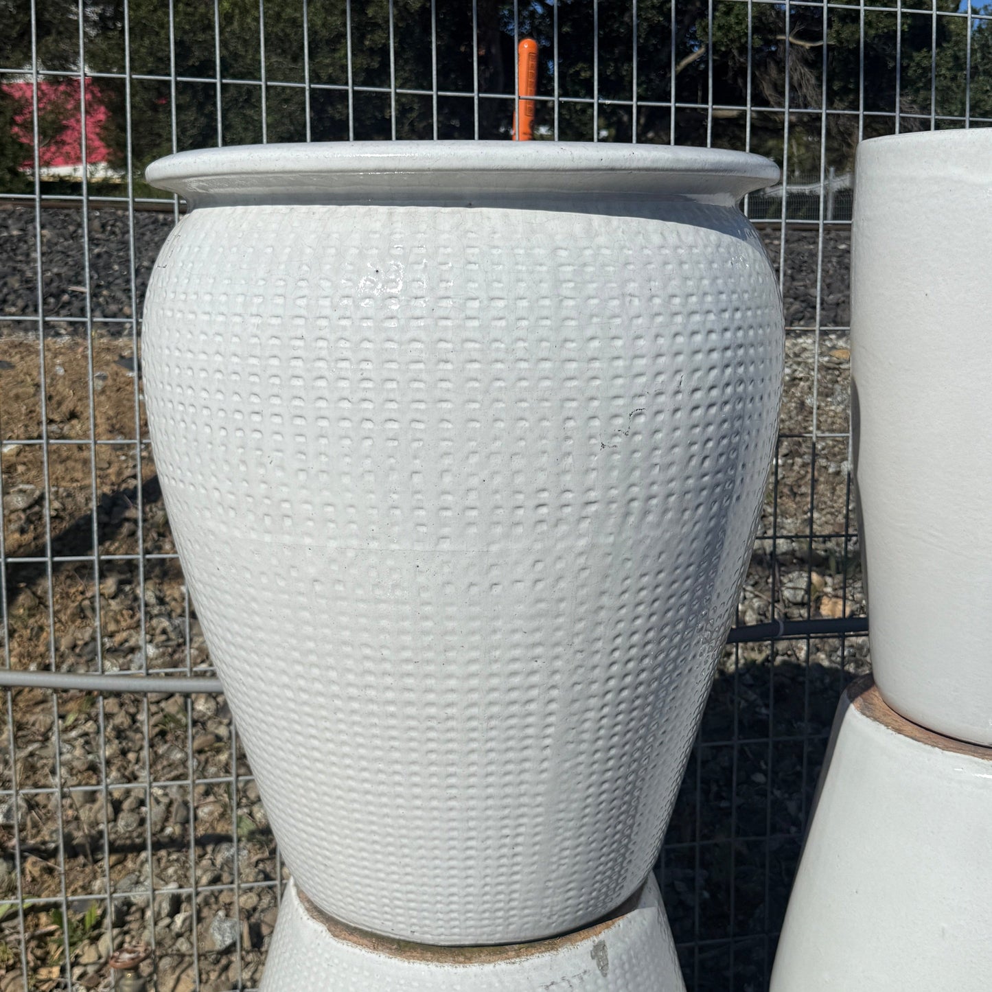 Large Lipped Glossy White Pattern