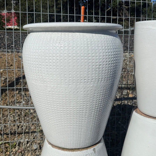 Large Lipped Glossy White Pattern