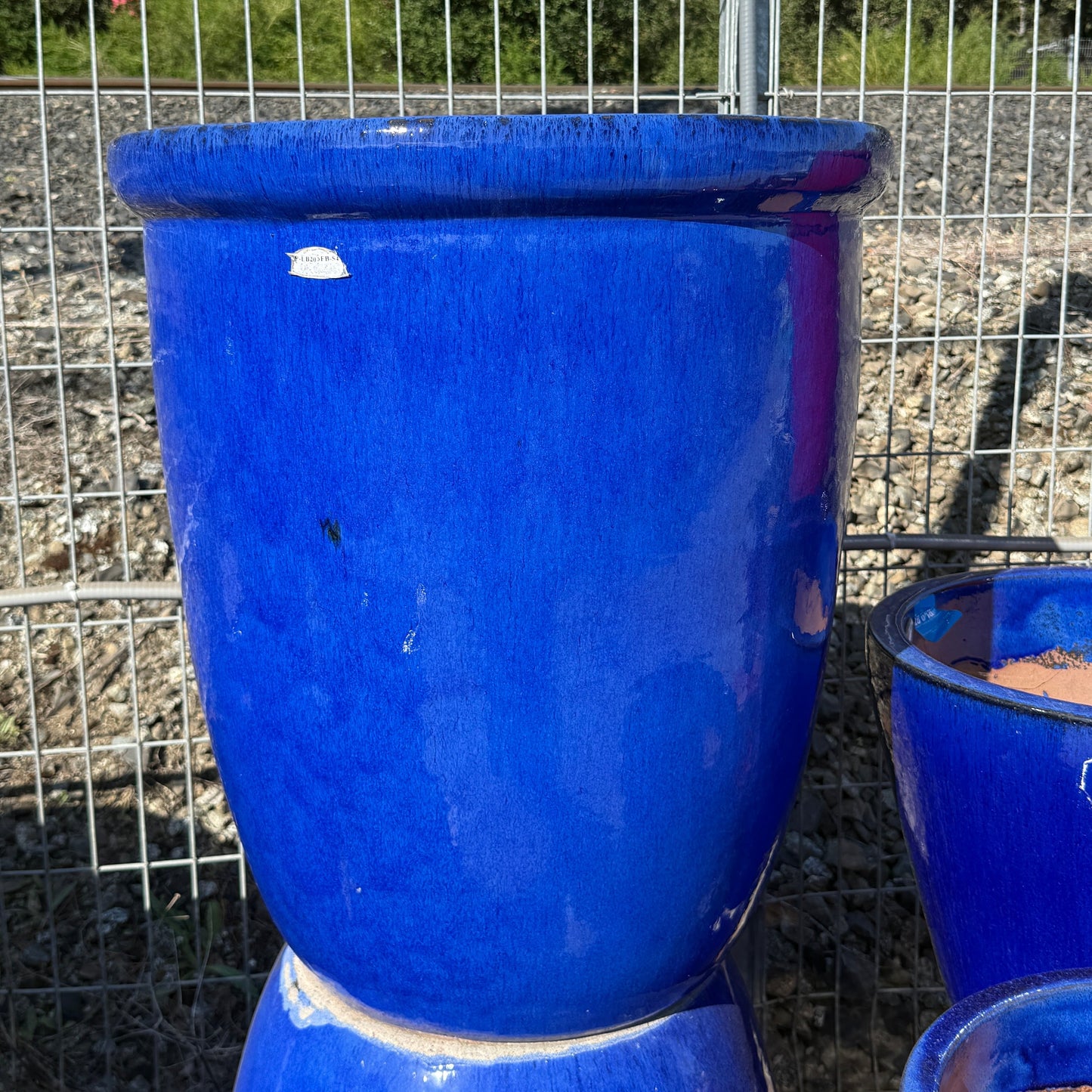 Large Glossy Blue